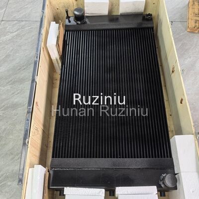 160801010169A002 SANY Ραδιενεργοποιητής νερού